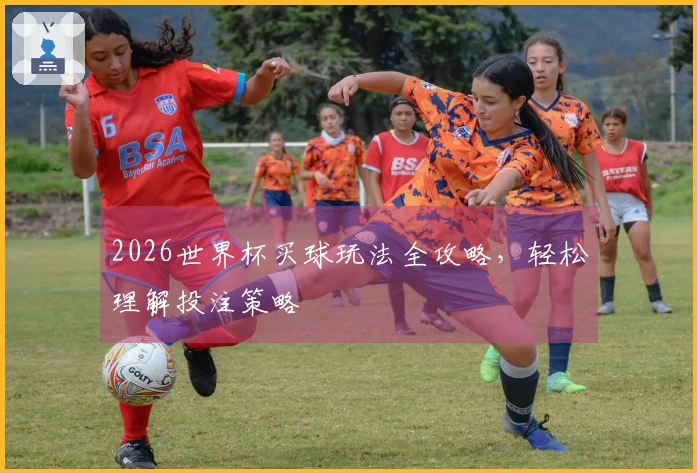 2026世界杯买球玩法全攻略，轻松理解投注策略